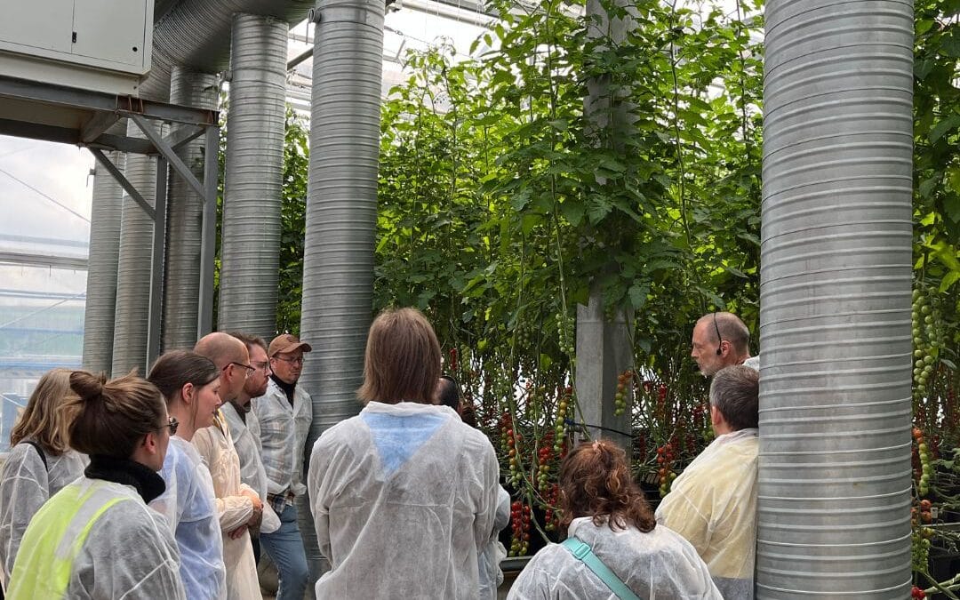 The Magic factory: Turning biowaste into tomatoes