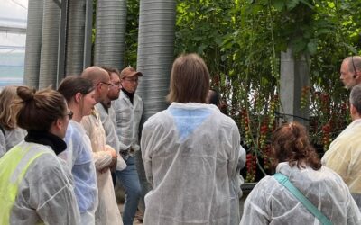 The Magic factory: Turning biowaste into tomatoes