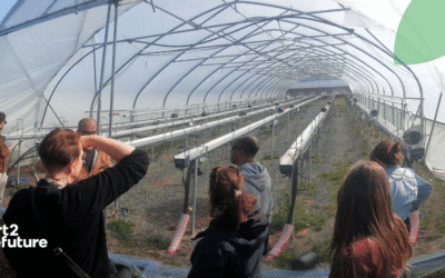 NIBIO: Testing innovative soil management techniques to boost soil health