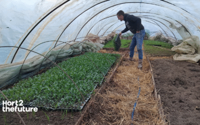 Hort2thefuture tests new growing media with growers in Serbia and North Macedonia