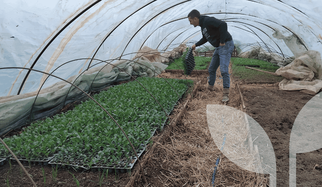 Hort2thefuture tests new growing media with growers in Serbia and North Macedonia