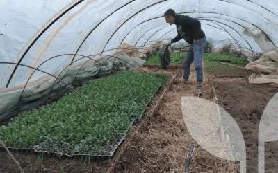 Hort2thefuture tests new growing media with growers in Serbia and North Macedonia