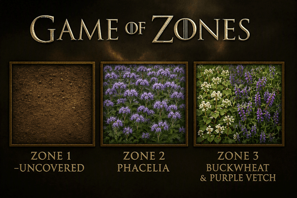 H2F_game-of-zones
