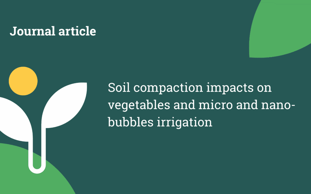 Soil compaction impacts on vegetables and micro and nano-bubbles irrigation
